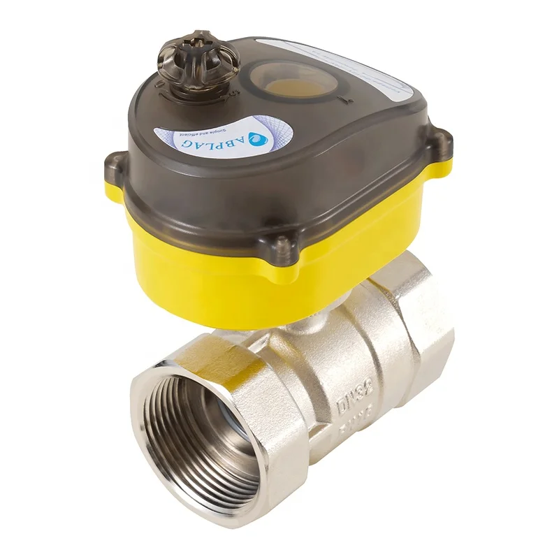 Stainless Steel Electric Ball Valve 2-way Water Valve with Power Adapter Automatic Return Setting Electric Valve