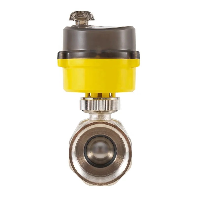 Stainless Steel Electric Ball Valve 2-way Water Valve with Power Adapter Automatic Return Setting Electric Valve