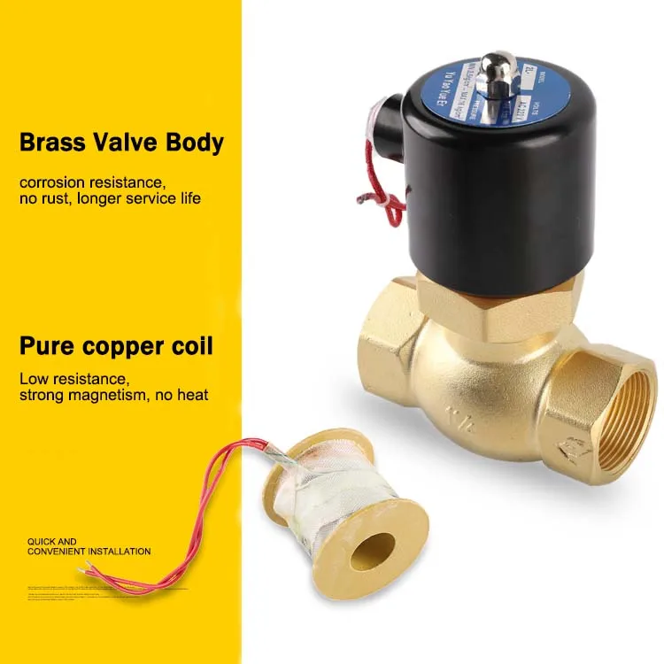 Factory Customized High Temperature Resistant Brass AC220V DN15 Water vapor pilot Solenoid Valve for Pass Steam