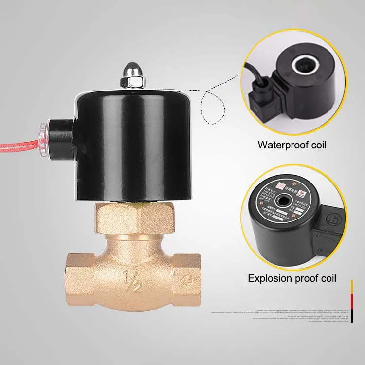 Factory Customized High Temperature Resistant Brass AC220V DN15 Water vapor pilot Solenoid Valve for Pass Steam