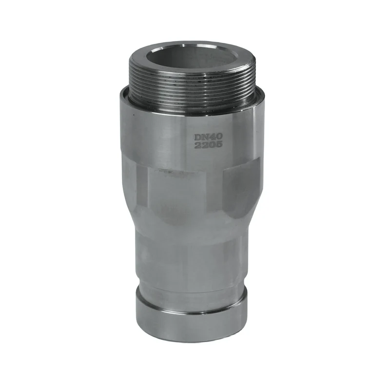 Factory Direct Corrosion Resistant 2205 Material Check Valve One-way Check Valve