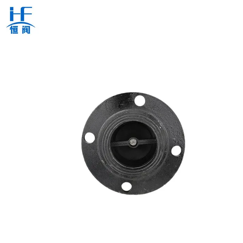 Hengfa Factory Price H42X-1.0/1.6/2.5 New Flange Bottom Foot Valve Ductile Iron Manual Control Structure DN40-DN300 ISO9001