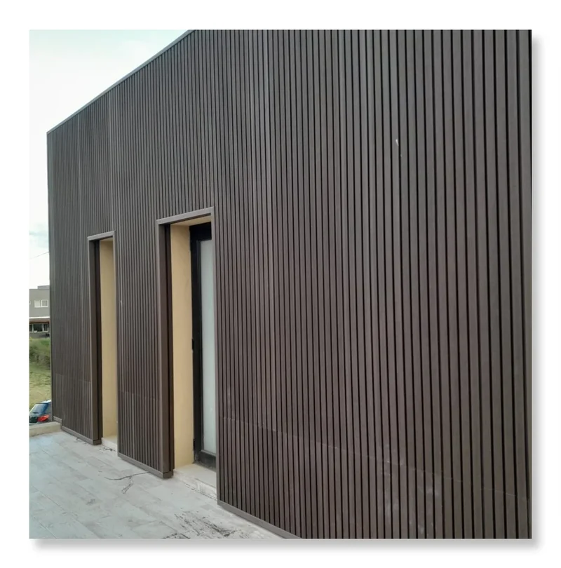 Modern Style Waterproof Composite WPC Wall Cladding Soundproof Interior Decoration Co-Extrusion Panels Plastic Wall Cladding