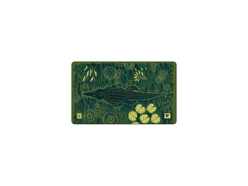 Alligator