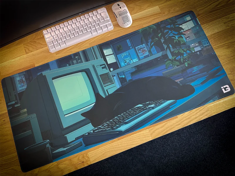 Lofi Schlafende Katze