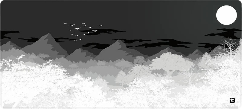 Möwen - Mitternacht
