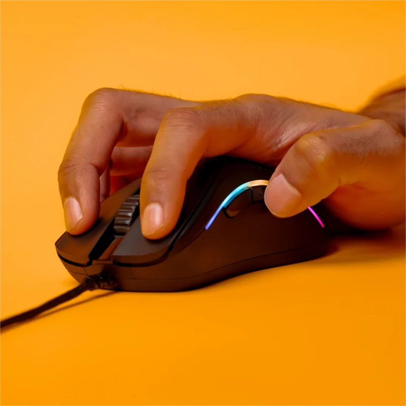 Model D 2 Wired Mouse