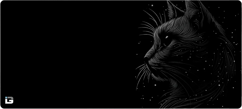 Space Cat