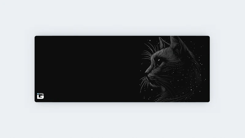 Space Cat