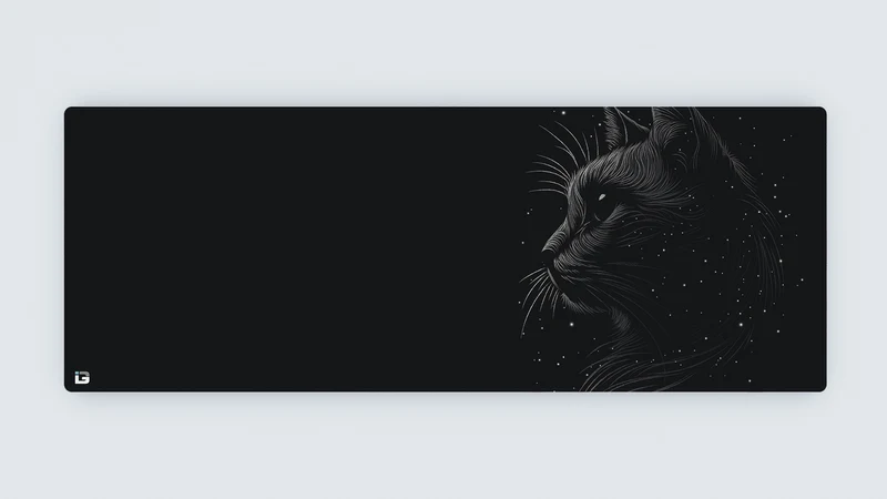 Space Cat