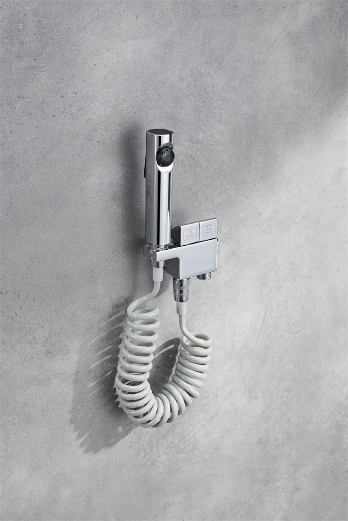 Bathroom Wall Mounted Chrome-Plated Brass Toilet Companion Bidet Sprayer Set