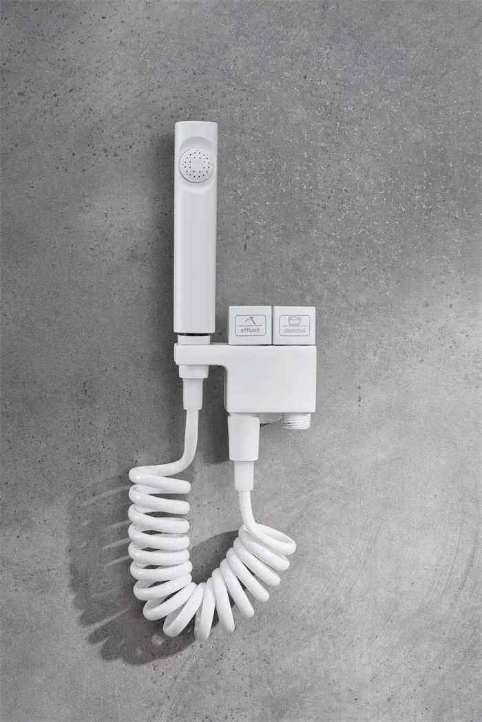 Bathroom Wall Mounted Chrome-Plated Brass Toilet Companion Bidet Sprayer Set