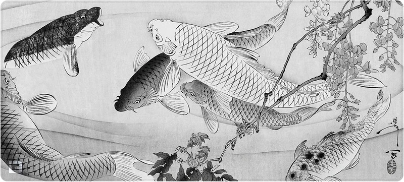 Koi Teich Mono