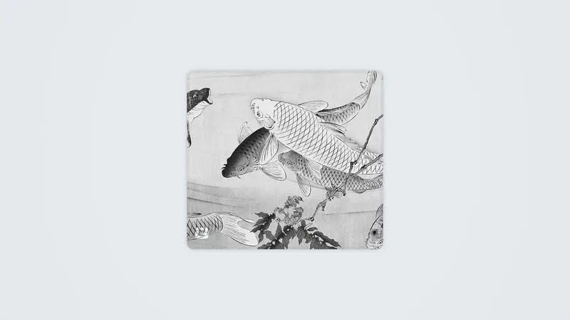 Koi Teich Mono