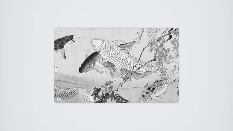 Koi Teich Mono