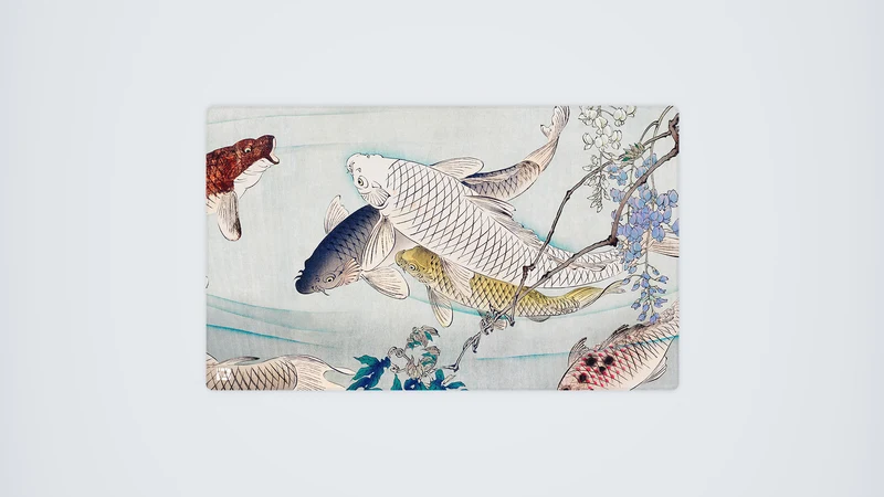 Koi-Teich