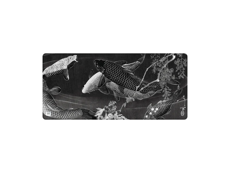 Mitternachts-Kois