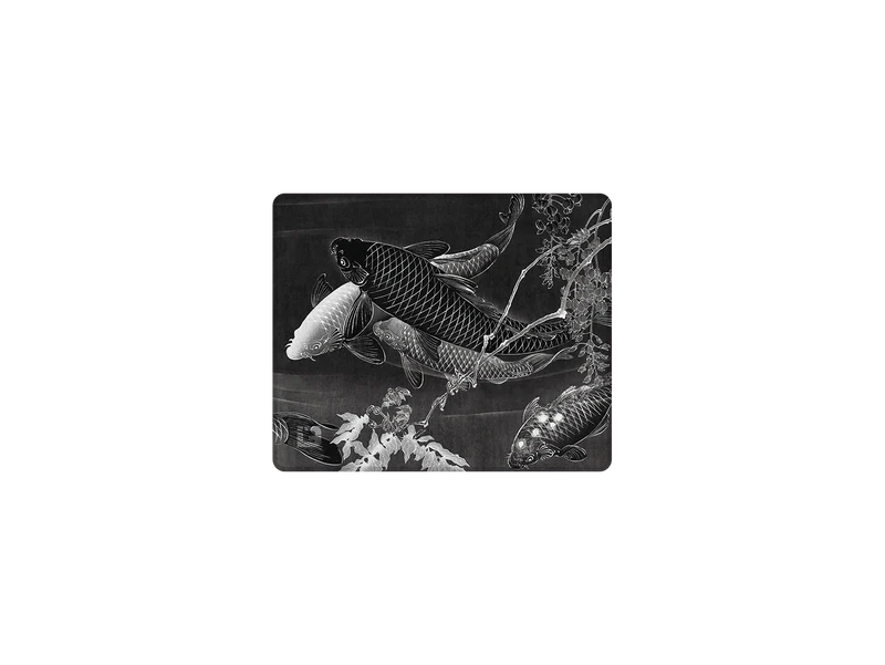 Mitternachts-Kois