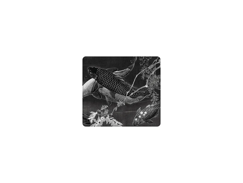 Mitternachts-Kois