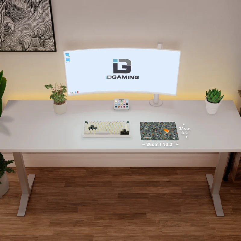 Rotkehlchen und Brombeeren