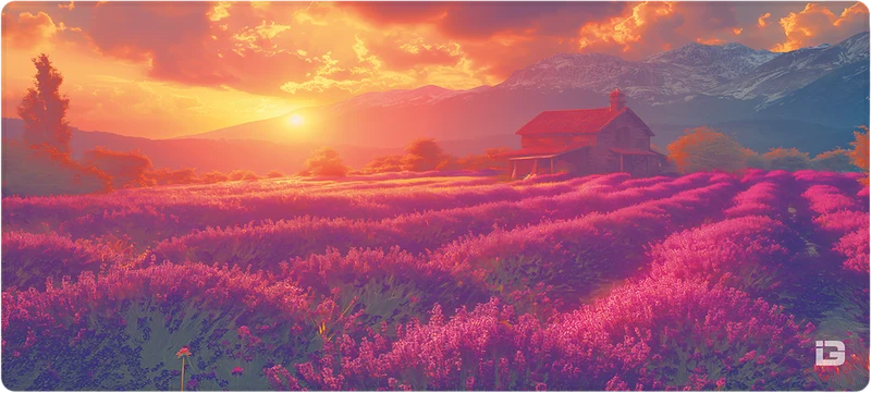 Lavendel Sonnenuntergang