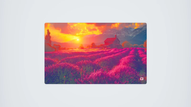 Lavendel Sonnenuntergang