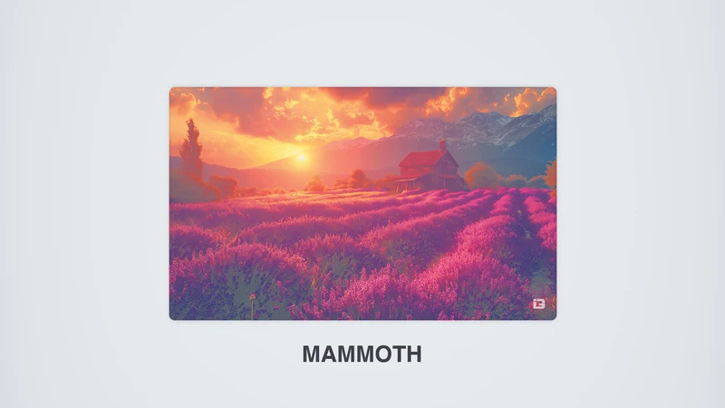 Lavendel Sonnenuntergang