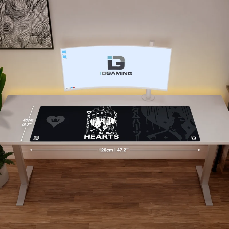 Sora gegen Herzlos