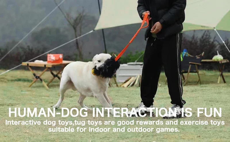 Dog Rope Toy Interactive Dog Bungee Chaser Toy with Rubber Ball Pet Tug Toy Sheepskin for Medium Large Dogs Exercise Outdoor