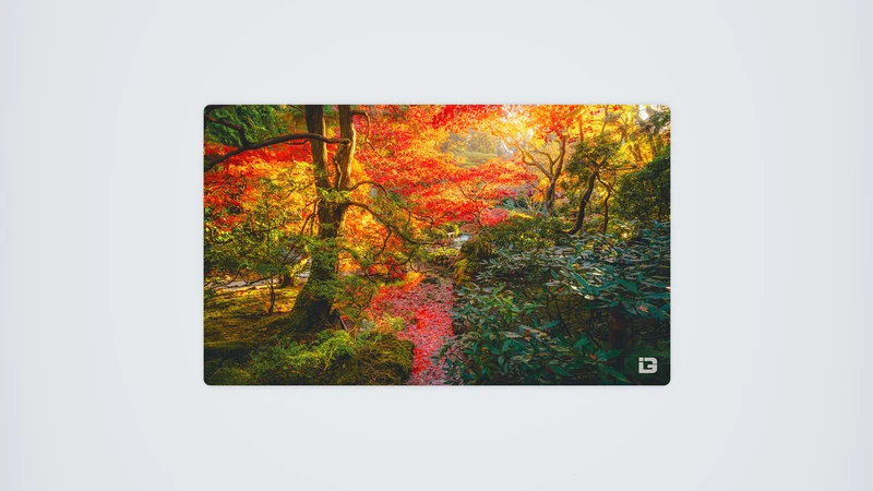 Baum der Ruhe