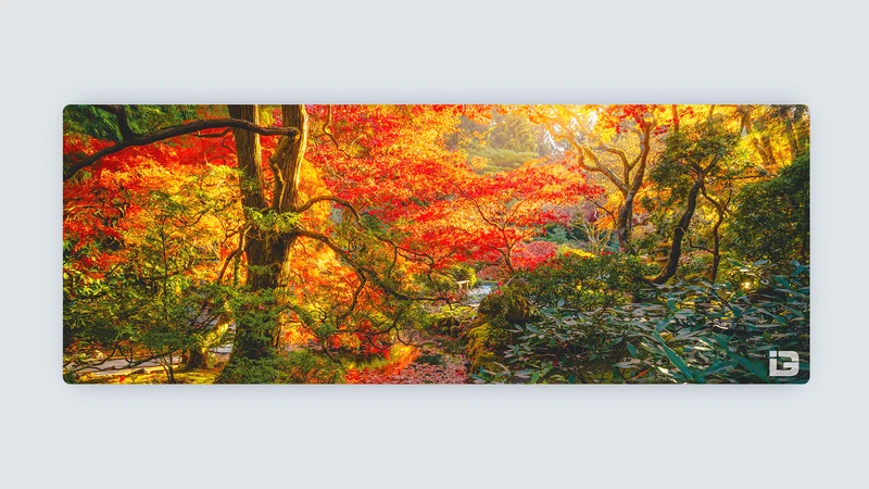 Baum der Ruhe