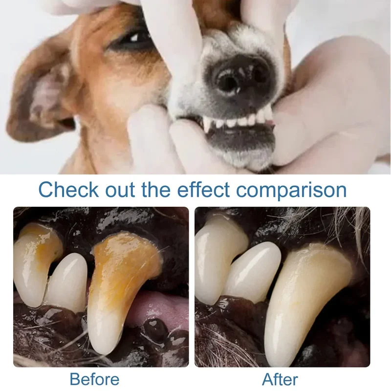 Pet Tartar Remover Natural Plaques Off & Tartar Remover for Dogs & Cats Freshen Breath Foam for Dogs & Cats Support Healthy Gums