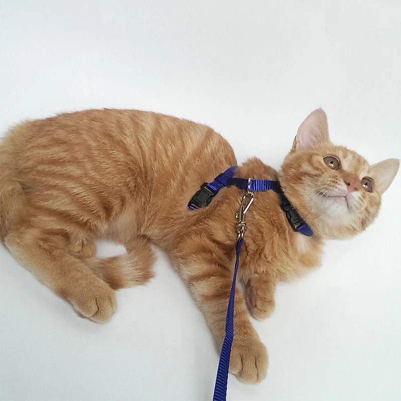 Adjustable Pet Cat Collar For Cats Cozy Nylon Rabbit Kitten Kedi Harness Leash Set Dog Cat Accessories Products For Pets