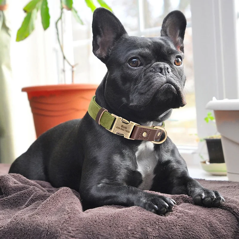 Free Custom PU Leather Dog Collar Engraved Dog Collars Adjustable Pet Buckle ID Necklace Durable for Small Medium Large Dogs Pug