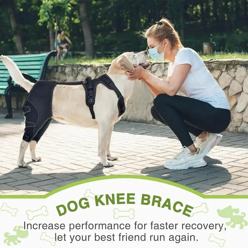 Orthopedic Brace For Dogs Pet Joint Hip Support Brace Adjustable Leg Support For Keeping Animal Joints Warm And Stable