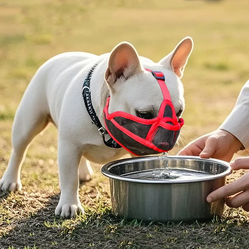 Summer French Bulldog Short Nosed Adjust Pet Muzzle for Dogs Face Shield Pug Mascotas Accessories Prevent Accidental Ingestion