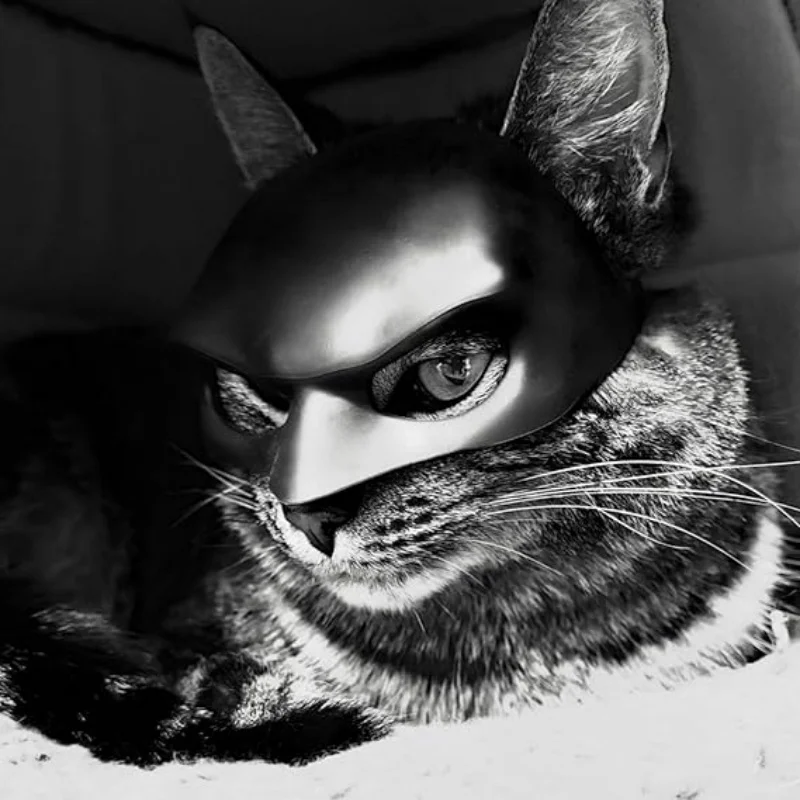 Halloween Bat Pet Mask for Cats Dogs Cool Black Cute Funny Photo Prop Pet Accessory Toy for Adults Holiday Party Decor Gift