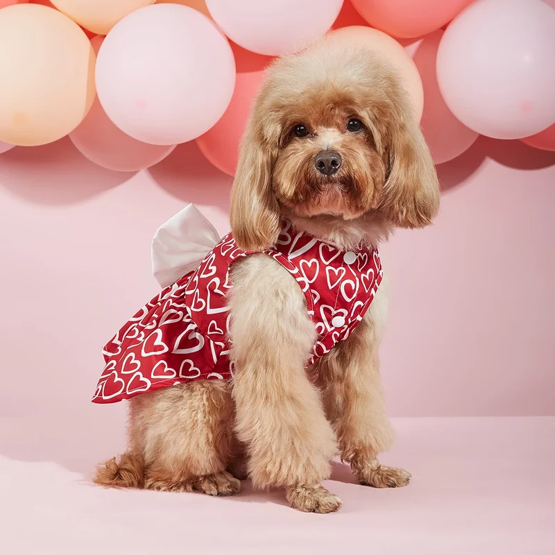 Valentines Day Pet Clothes Hearts Dog Valentines Outfit Bowknot Red Tulle Dog Dress with for Small Dogs Cat Girl