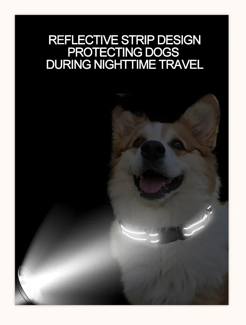 Reflective Dog Collar Strap with Adjustable Safety Nylon Pet Collar Pet Traction Rope Suitable for Small and Medium-Sized Pets