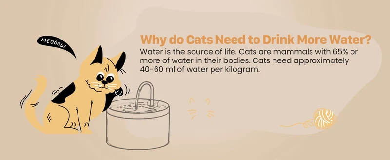 Pet Water Fountain Auto Filter Set Automatic Sensing Cat Drinker 2.1L Recirculate Filtring Drinking for Cat Dog Water Dispenser