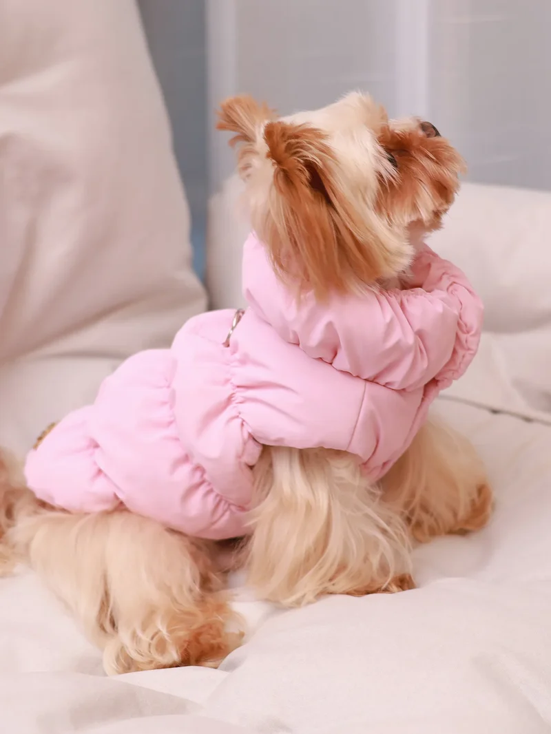 Dog Jacket For Autumn/Winter, Pet Coat, 3-Layer Thick Warm Outerwear, Suitable For Small To Medium Dogs Like Poodle, Teddy, York