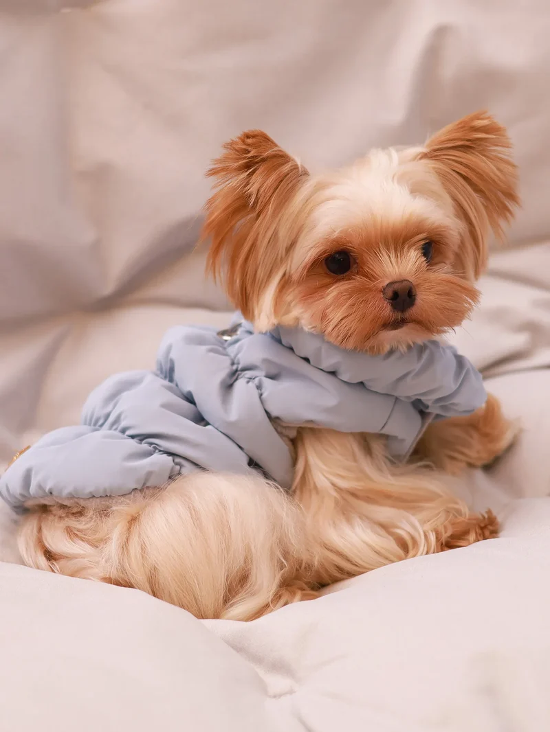 Dog Jacket For Autumn/Winter, Pet Coat, 3-Layer Thick Warm Outerwear, Suitable For Small To Medium Dogs Like Poodle, Teddy, York