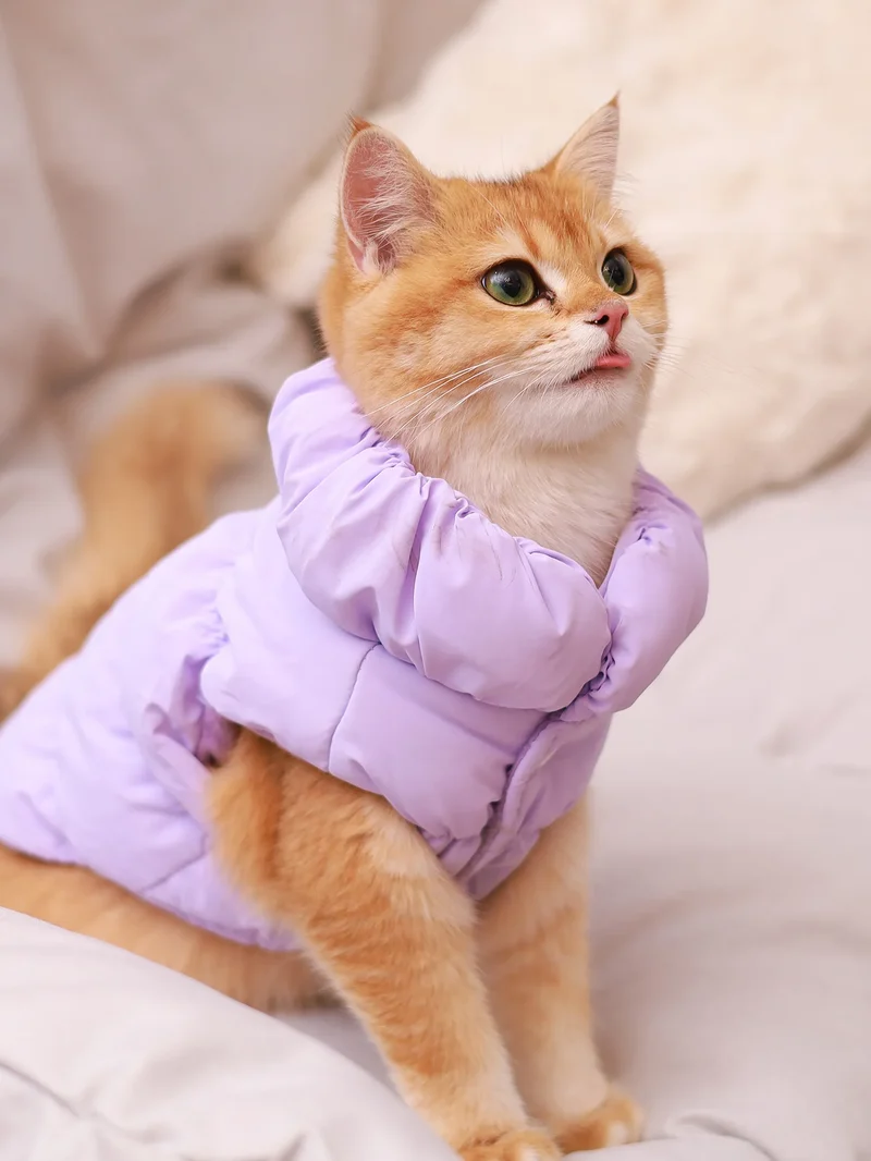 Dog Jacket For Autumn/Winter, Pet Coat, 3-Layer Thick Warm Outerwear, Suitable For Small To Medium Dogs Like Poodle, Teddy, York