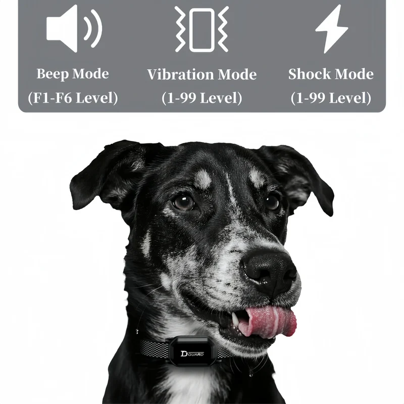 800m Digital Dog Training Collar Waterproof Rechargeable Remote Control Pet with LCD Display for All Size Shock Vibration Sound
