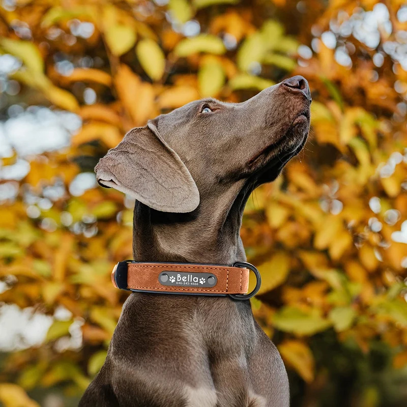 Personalized PU Leather Dog Collar Soft Padded Pet Dog Collars Engraved Name Paw Durable Necklace for Small Medium Large Dogs