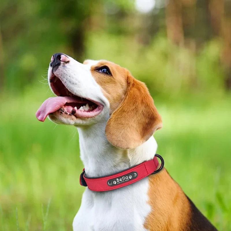 Personalized PU Leather Dog Collar Soft Padded Pet Dog Collars Engraved Name Paw Durable Necklace for Small Medium Large Dogs