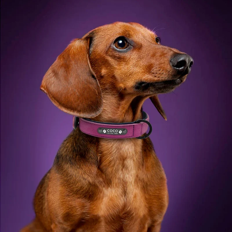 Personalized PU Leather Dog Collar Soft Padded Pet Dog Collars Engraved Name Paw Durable Necklace for Small Medium Large Dogs