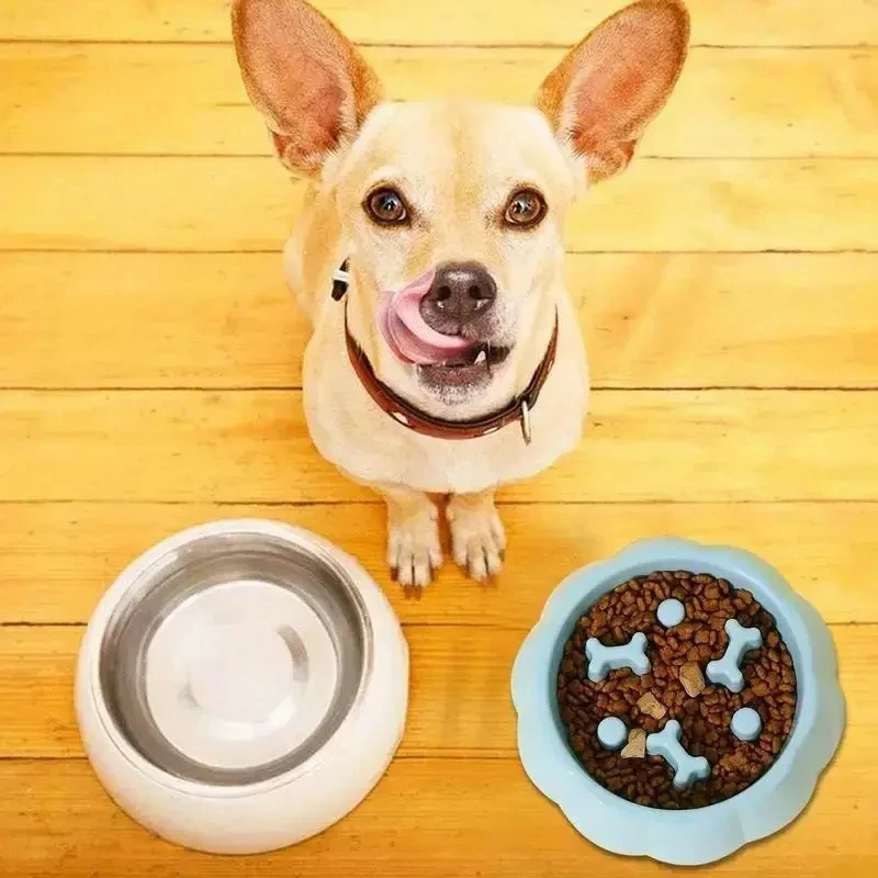 Pet Supplies Color Slow Feeder Cat Bowl Anti-choking Plastic Dog Puzzle Food Bowl, Dog Water Basin For Anxiety Relief