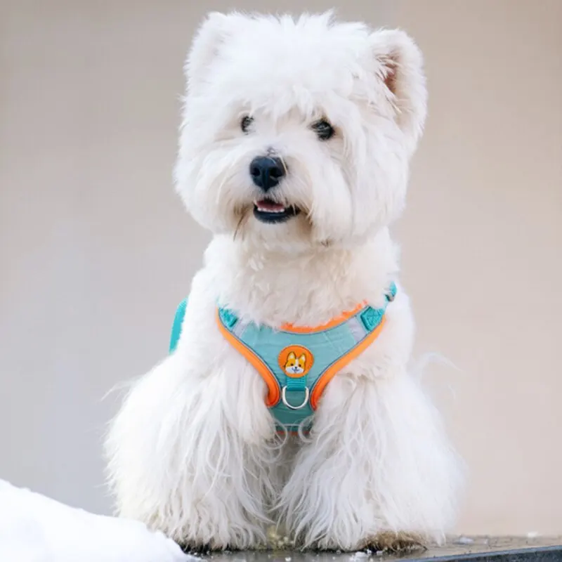 Adjustable No Pull Pet Reflective Dog Harness Lead Walking Running Leashes Cat Chest Strap Vest Leash
