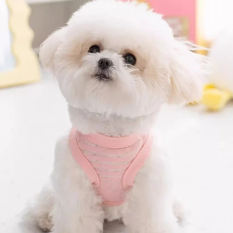 Breathable Mesh Pet Dog Vest Dog Summer Clothes Thin Cooling T Shirt Chihuahua Bichon Costume Cat Clothing Girls Puppy Shirt New